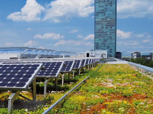 Bio Solar Roof - Coberturas verdes e energia solar